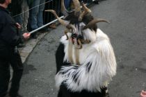 Bild 035